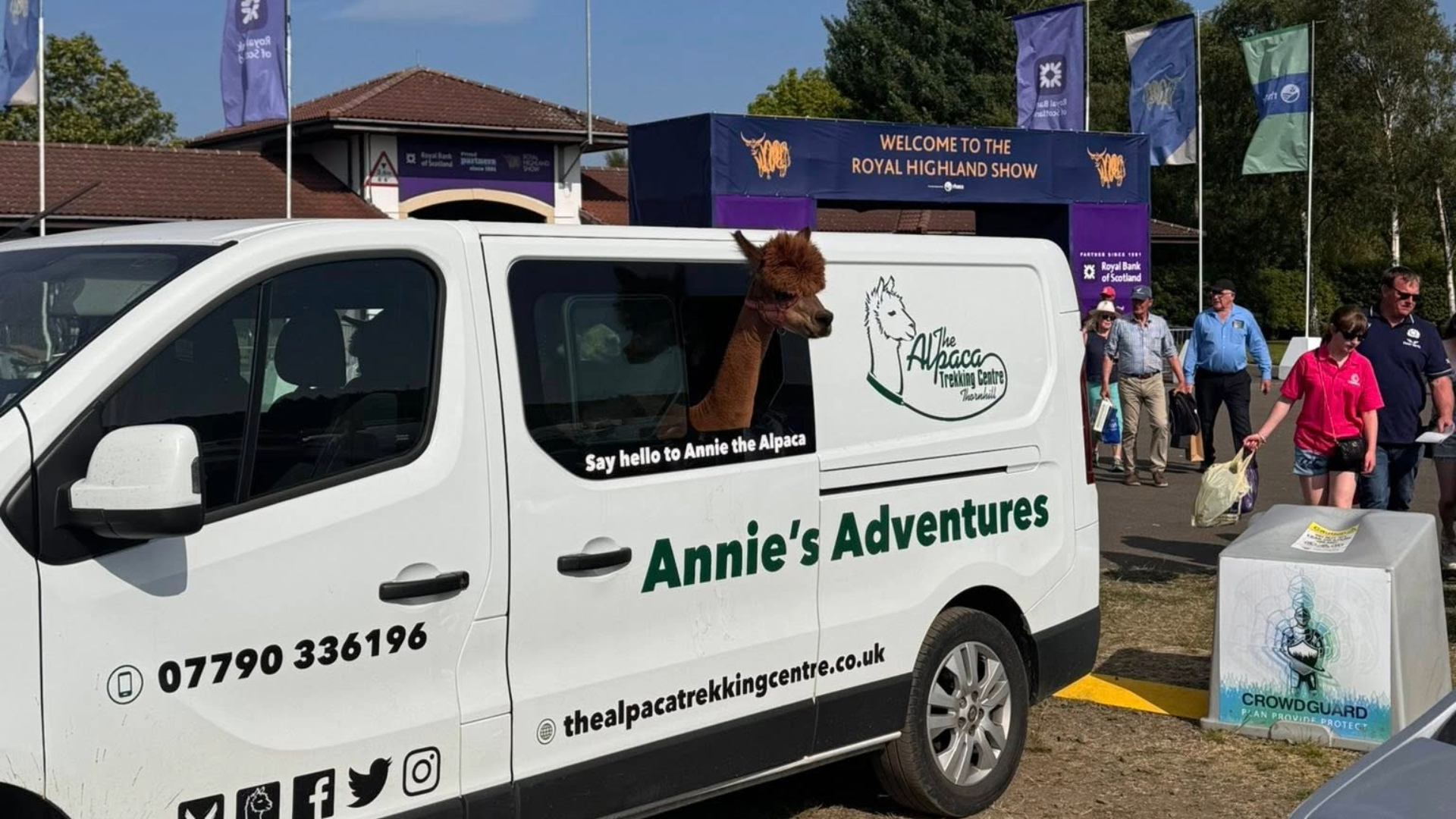 Alpaca Trekking Centre Can Graphics with Annie the Alpaca looking out of the window