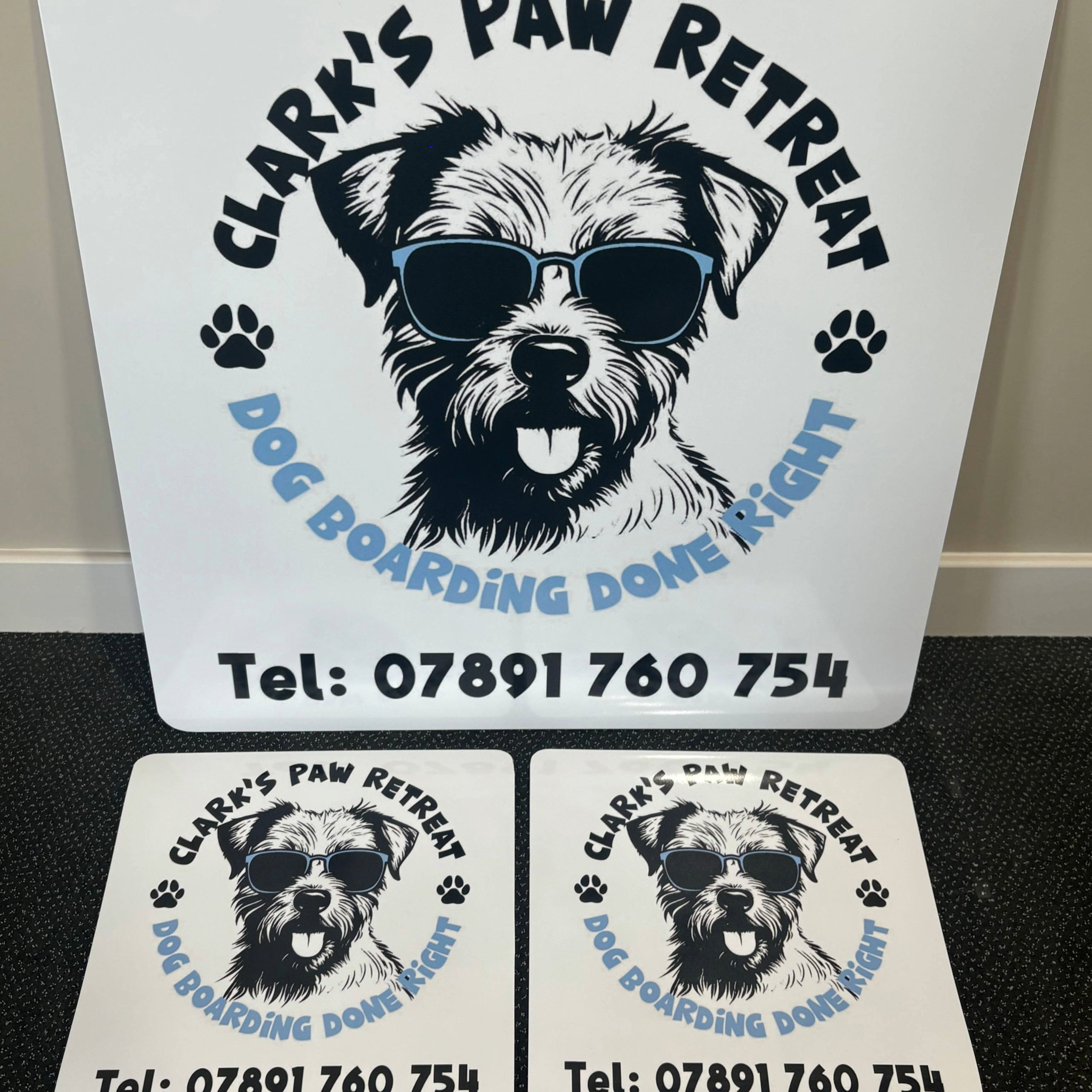 Magnetic (Temporary) Van Graphics
