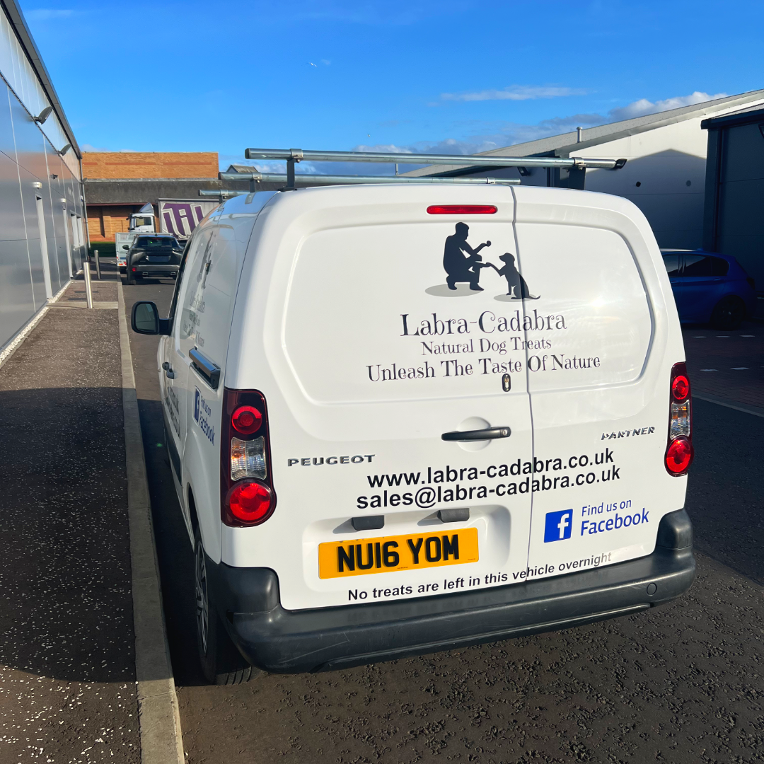 Van Graphics | Advance Supplies